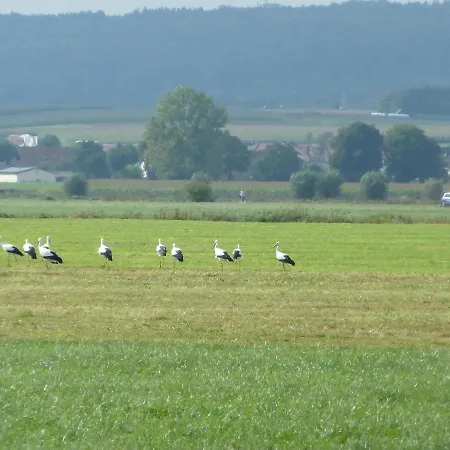 Alte Schmiede * Kirchhain
