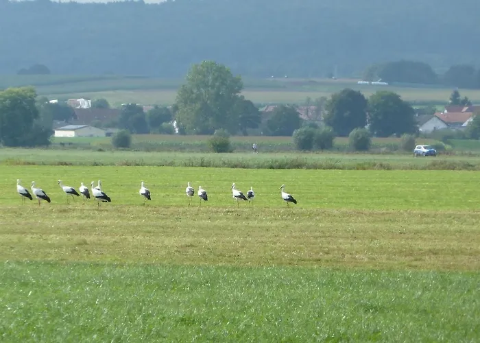 Alte Schmiede * Kirchhain